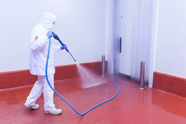Professional Pressure Washing Services in Dover Plains, NY